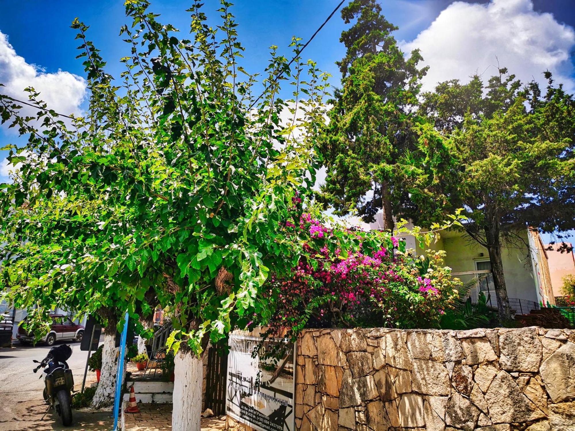 Apartment Phaos Residence, Your Stylish Crete Retreat