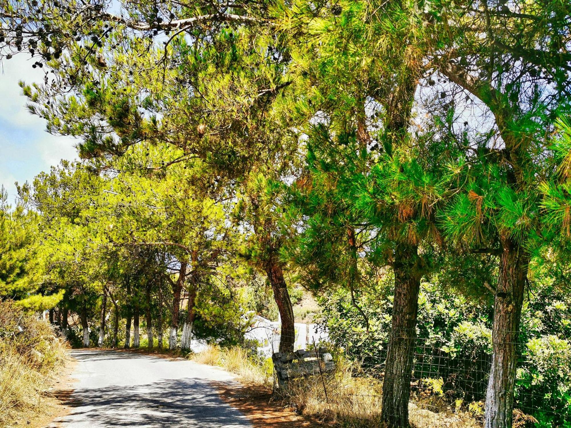 Phaos Residence, Your Stylish Crete Retreat Panormos (Crete)